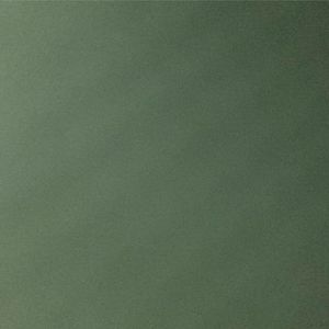 Meet your Posher, Ethan